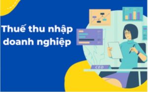 Quy định các loại thuế mà doanh nghiệp nước ngoài phải nộp